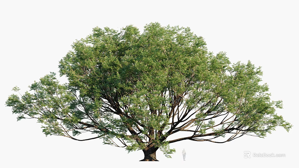 Large Arbor With Lush Green Leaves Thick Branches And Human Figure For Scale 3d model 
