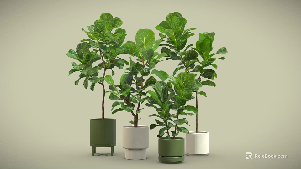 Lush Bonsai Potted Plants With Various Colored Pots And Lush Green Leaves 3d model 