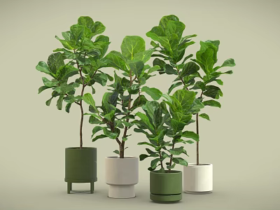 Lush Bonsai Potted Plants With Various Colored Pots And Lush Green Leaves 3d model