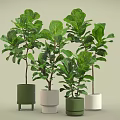 Lush Bonsai Potted Plants With Various Colored Pots And Lush Green Leaves