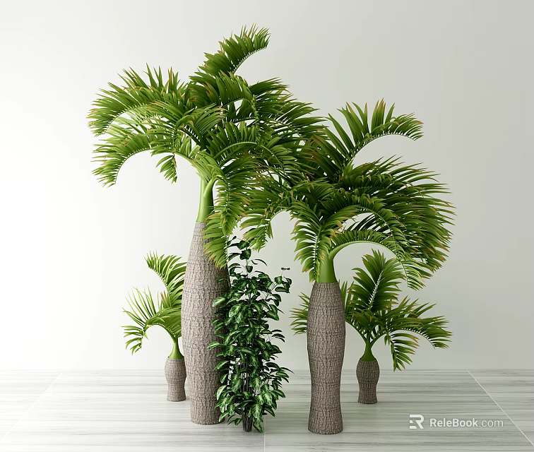 Tall Palm Trees With Green Fronds And Thick Trunks In Indoor Setting With Smaller Plants 3d model 