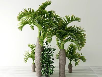 Tall Palm Trees With Green Fronds And Thick Trunks In Indoor Setting With Smaller Plants 3d model
