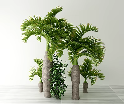 Tall Palm Trees With Green Fronds And Thick Trunks In Indoor Setting With Smaller Plants 3d model