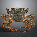 Aquatic Crab with Orange Spotted Shell and Long Textured Legs in Marine Environment
