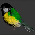Colorful Bird With Spread Wings Black Head White Neck Yellow Belly Green And White Wings