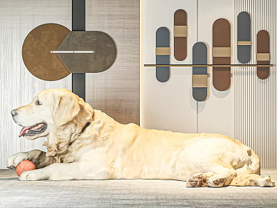 Golden Retriever Dog Lying On Floor With Orange Ball And Decorative Wall Design 3d model