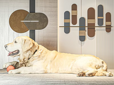 Golden Retriever Dog Lying On Floor With Orange Ball And Decorative Wall Design 3d model Golden Retriever Dog Lying On Floor With Orange Ball And Decorative Wall Design 3d model