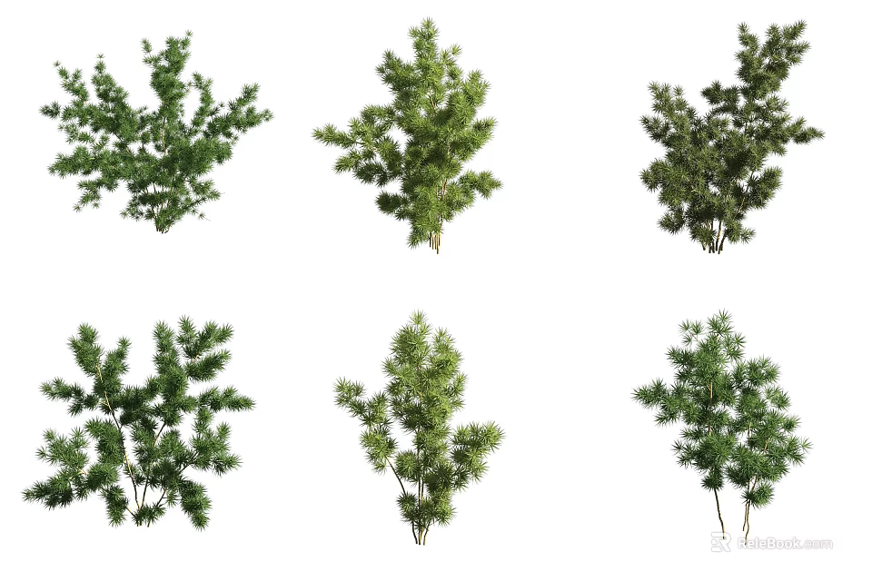 Various Decorative Green Bonsai Potted Plants with Different Shapes and Foliage 3d model 