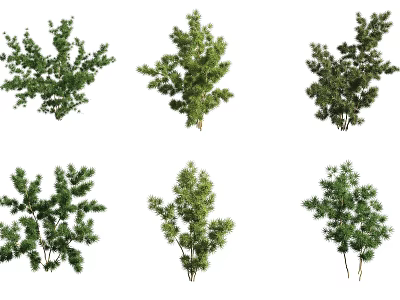Various Decorative Green Bonsai Potted Plants with Different Shapes and Foliage 3d model
