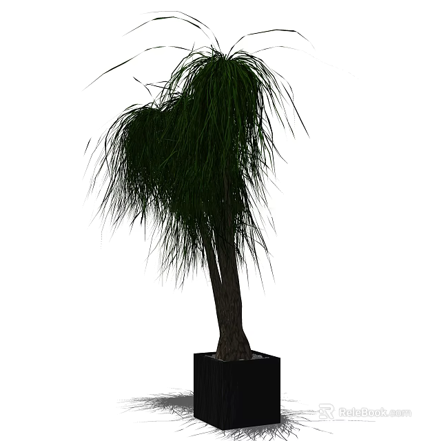 Bonsai Plant With Long Drooping Leaves And Wooden Trunk In Black Square Pot 3d model 