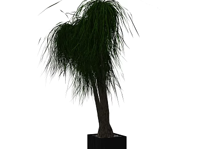 Bonsai Plant With Long Drooping Leaves And Wooden Trunk In Black Square Pot 3d model