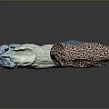 Colorful Cylindrical Pillows With Various Patterns And Soft Textures For Home Decor