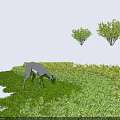 Lush Green And Yellow Shrubs In Meadow With Deer Grazing On Grass