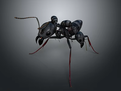 Detailed 3D Model of Ant With Black Body and Red Legs on Dark Background 3d model