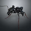 Detailed 3D Model of Ant With Black Body and Red Legs on Dark Background