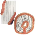Stylish Shaped Rug With Intricate Tree Ring Pattern And Pink White Color Tones