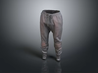 Trousers Men's Pants Women's Pants Clothes Realistic 3d model