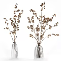 Dried Flowers Arrangement in Black and Clear Vases for Home Decor with Natural Tones