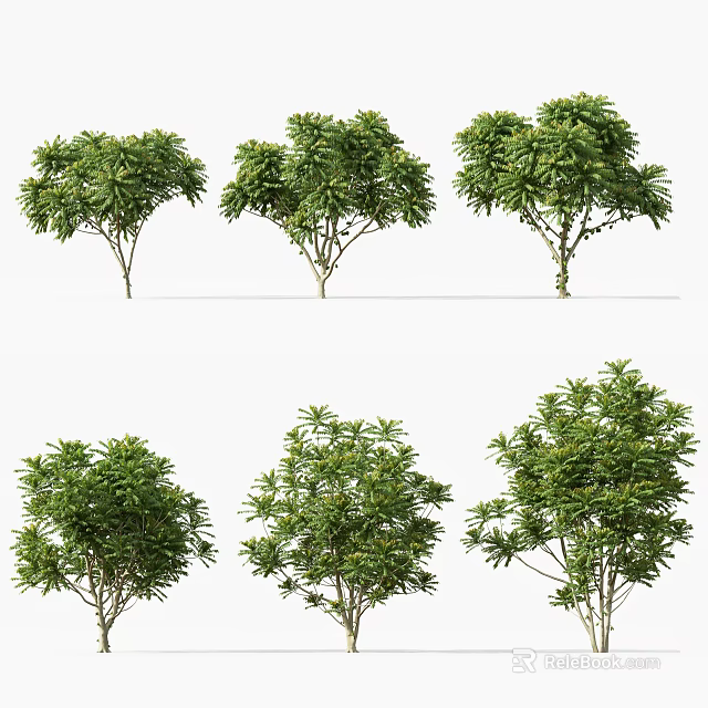 Various Arbor Trees With Lush Green Foliage And Different Growth Forms 3d model