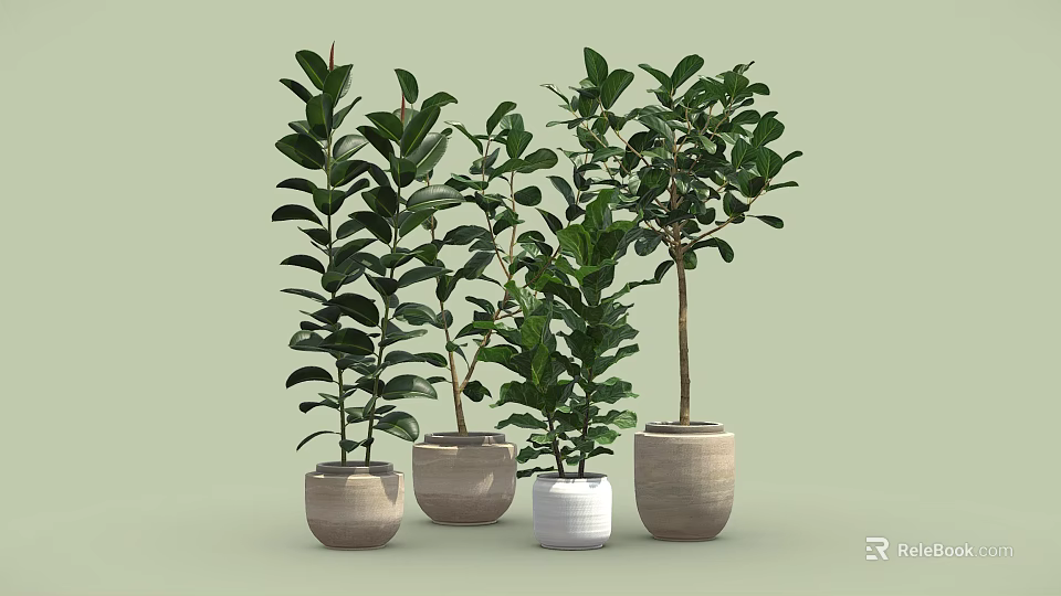 Lush Green Leafy Bonsai Potted Plants In Ceramic Pots For Indoor Decor 3d model 