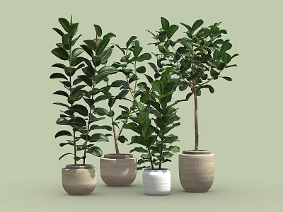 Lush Green Leafy Bonsai Potted Plants In Ceramic Pots For Indoor Decor 3d model