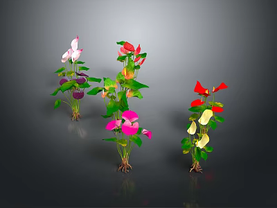 Colorful Flowering Plants With Pink Red Yellow Flowers Green Leaves On Gray Background 3d model