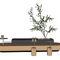 Modern Wooden Coffee Table With Layered Design Decorative Green Plant And Small Side Tables