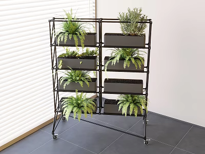 Potted Ferns on Black Multi-tiered Wheeled Plant Stand by Window Side 3d model