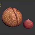 Large Orange Spotted Fruit Cut Open With Small Red Seed On Black Surface 3d model