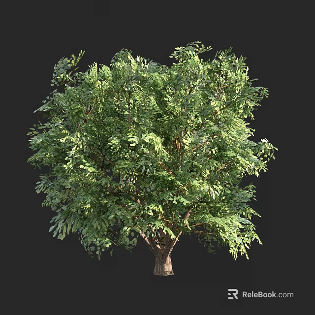 Lush Green Arbor with Dense Foliage and Strong Trunk in Natural Landscape 3d model 