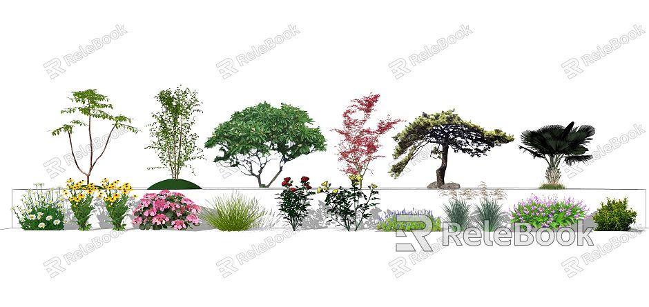 Modern Tree Landscape Tree Red Maple Pine model