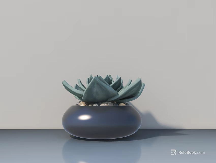 Potted Succulent Plant in Dark Round Pot on Smooth Surface with Light Wall 3d model 