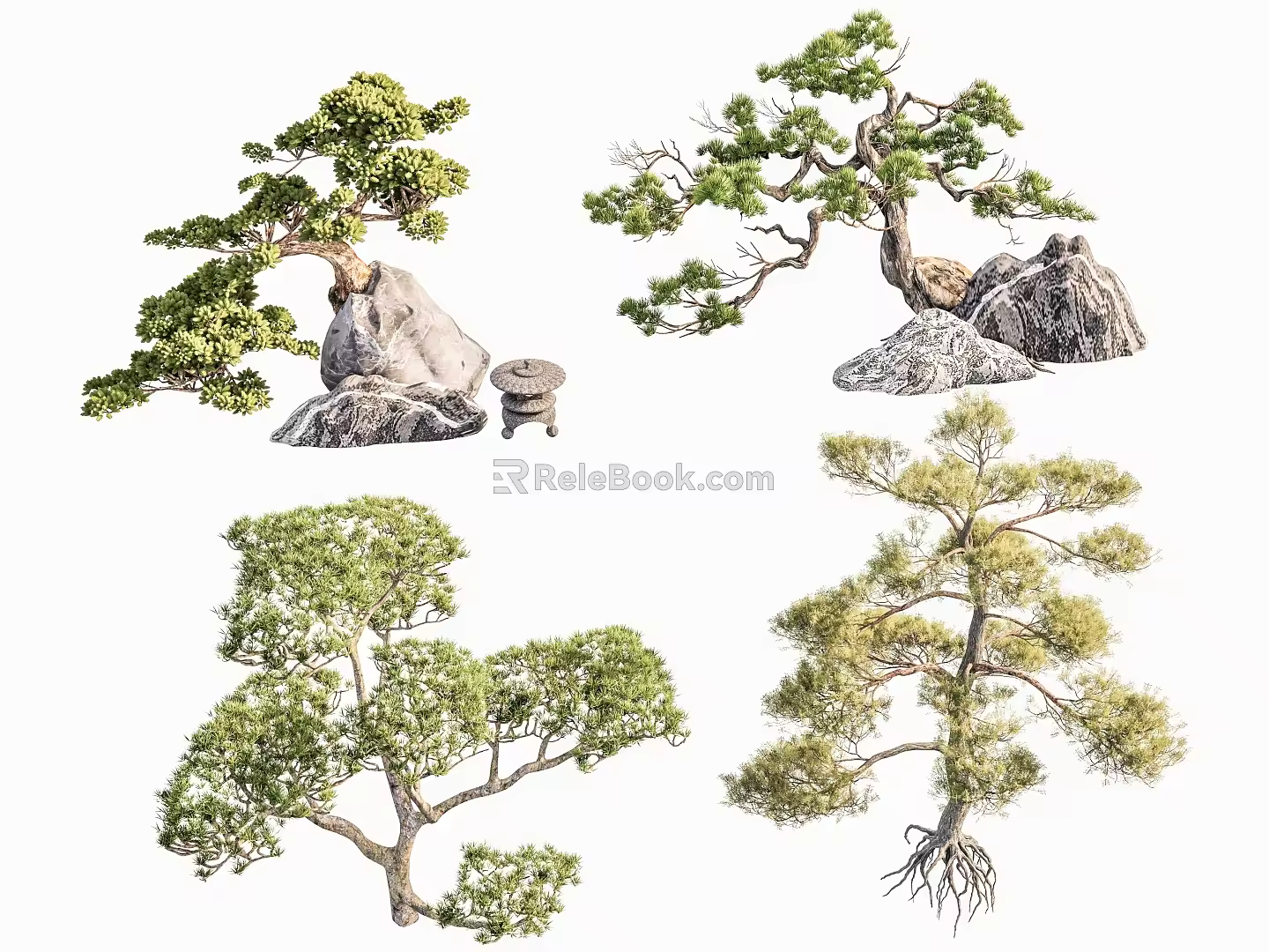 Arbor Yingke Pine Luo Han Pine Duanjing Garden Landscaping Pine Tree Landscaping Tea Room Model Tree Dry Landscape Pine Tree 3d model