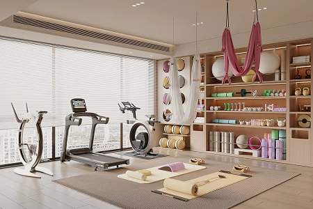 Modern Home Gym Fitness Equipment Yoga Supplies Treadmill Power Bike 3d model