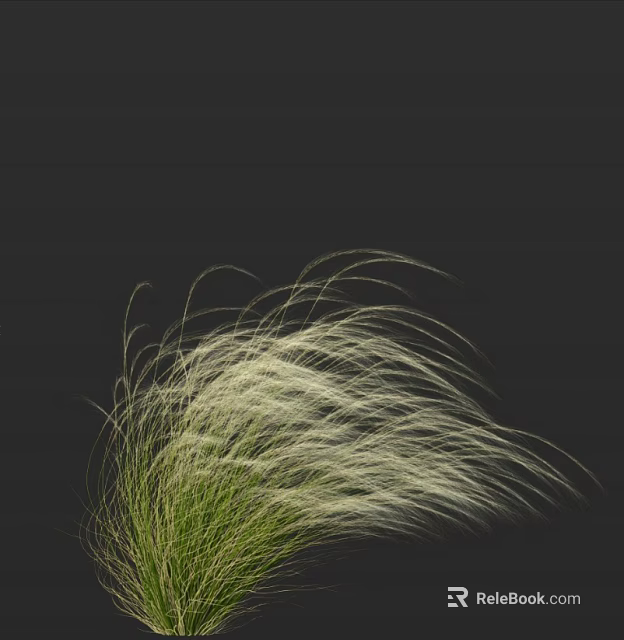 Elegant Ornamental Grass With Green Foliage And Silver White Feathery Blades On Dark Background 3d model 