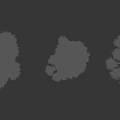 Different Arbor Tree Varieties Displaying Various Shapes and Lush Green Foliage in Landscaping