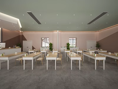 Bright School Classroom Featuring Neatly Arranged White Tables Chairs Potted Plants And Windows 3d model