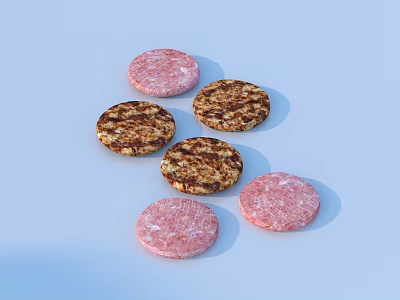 Fresh Raw and Cooked Meat Patties Arranged on Light Blue Surface 3d model