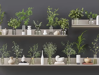 Modern Aquatic Green Plant Vase Jewelry Ornaments Potted Plant Glass Bottle Green Plant Hydroponics Green Plant 3d model