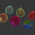 Red Fresh Crab Apples Displayed With One Halved On Shiny Surface 3d model