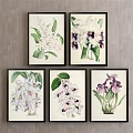 Five Black Framed Botanical Prints With Floral Illustrations For Wall Decor 3d model