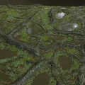 Natural stone surface with green moss covered holes and small water pool reflections