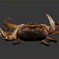 Red and Brown Crab With Large Claws Detailed Texture And Shiny Exoskeleton