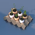 Small Potted Plants in Egg Shell Pots within Paper Egg Carton with Tiny Seedlings 3d model