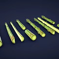 Green Asparagus Spears in Various Lengths and Different Shapes Arranged on Dark Background