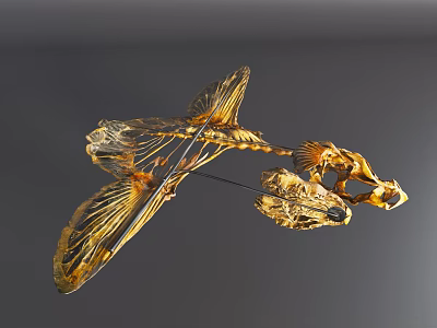 modern animal skeletal taxidermy fish taxidermy 3d model