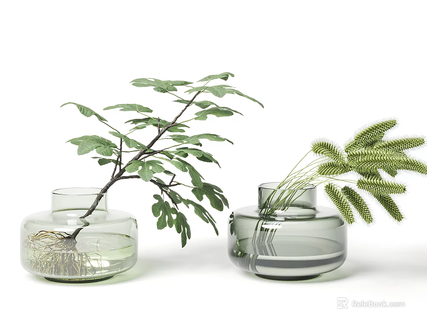 Clear Glass Vases With Green Leafy Plant Having Visible Roots And Grass Sprigs In Water 3d model 