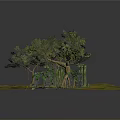 Lush Green Trees With Twisted Vines On Ancient Stone Pillars And Mossy Ground