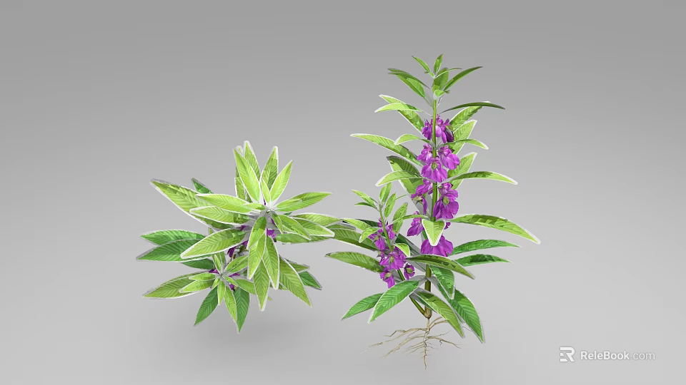 Green Leafy Plants With Purple Flowers And Exposed Roots For Garden Decor 3d model 