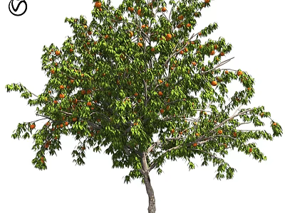 Garden Ornament Decorative Tree With Orange Fruits And Green Leaves For Outdoor Garden Decoration 3d model